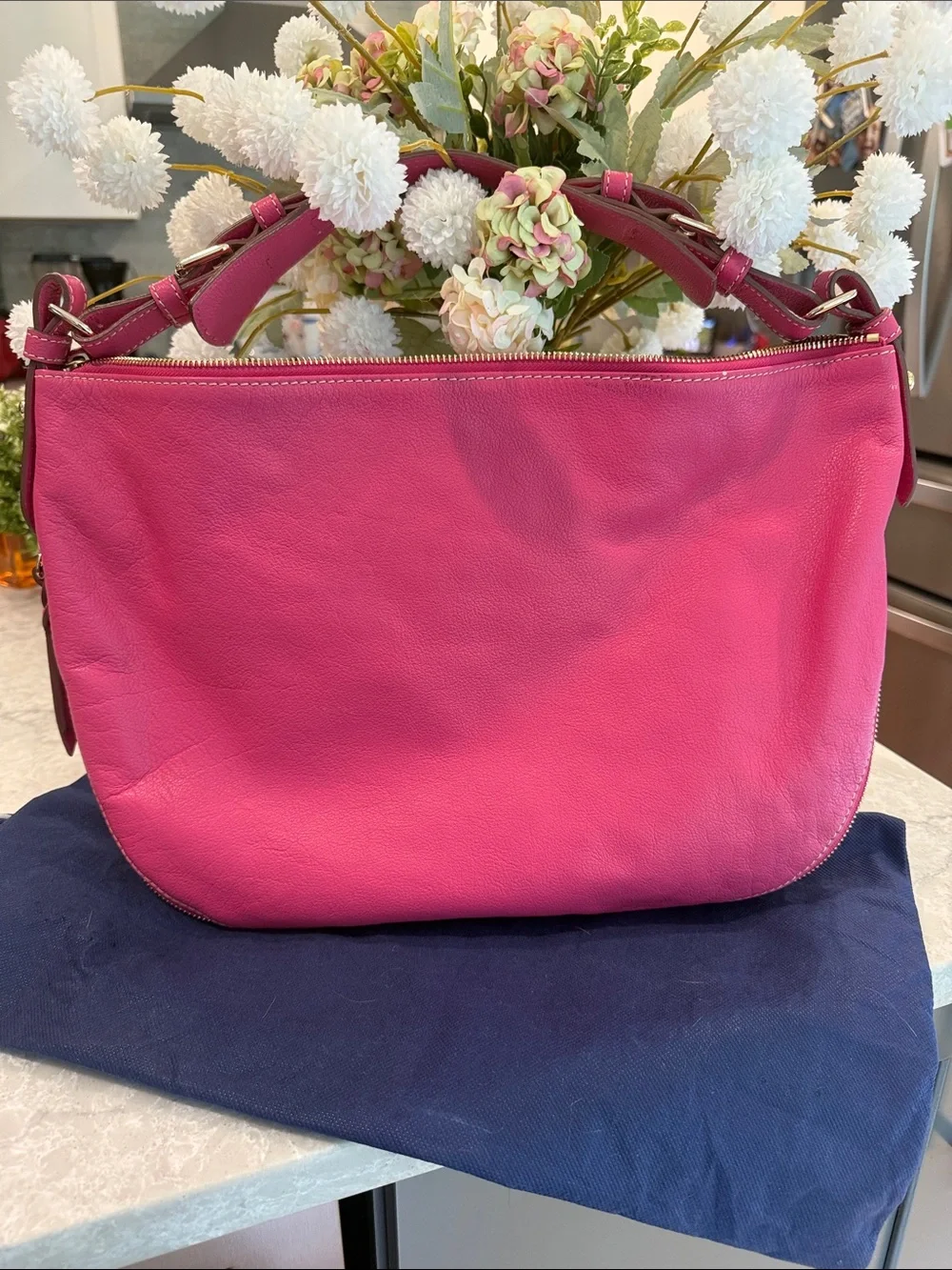 Dooney and Bourke Luna Crescent hobo bag